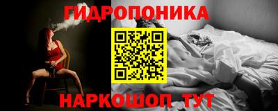 мяу мяу мука Гусиноозёрск